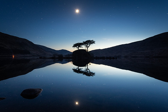 Moon and trees at Galloway Dark Sky Park (Landscape)