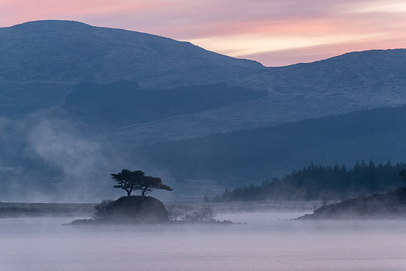 Morning Mist Landscape