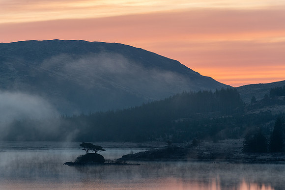 Morning Mist Landscape II