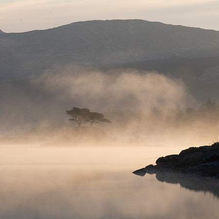 Morning mist II