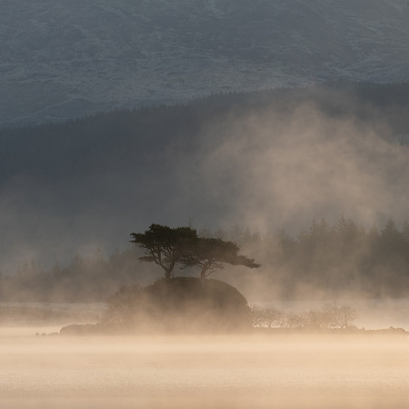 Morning mist