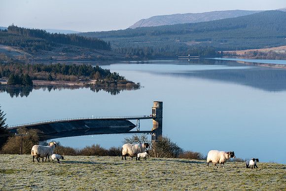 Springtime at Clatteringshaws