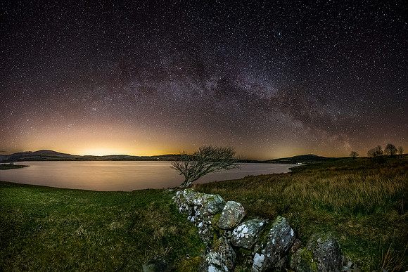 Starbow and tree at Clatteringshaws.