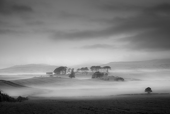 Dalry mono