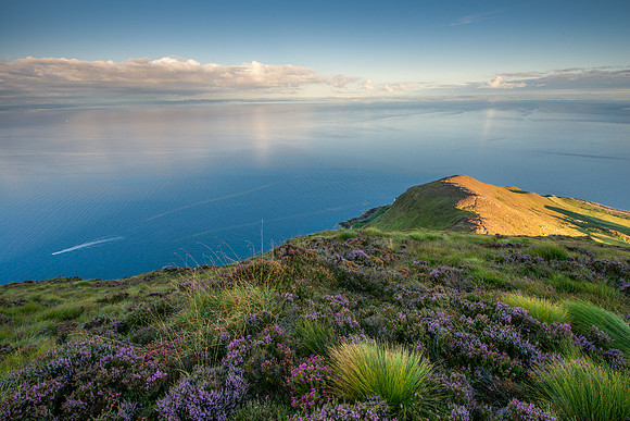 Looking South East from Holy Isle