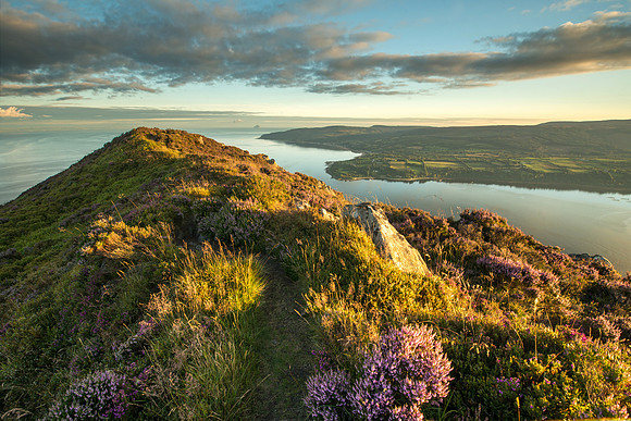 looking to Kings Cross from Holy Isle II