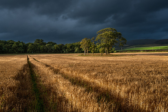 Autumn colours.