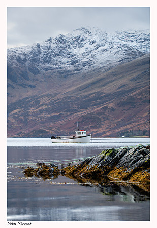 The morning catch from Arnisdale